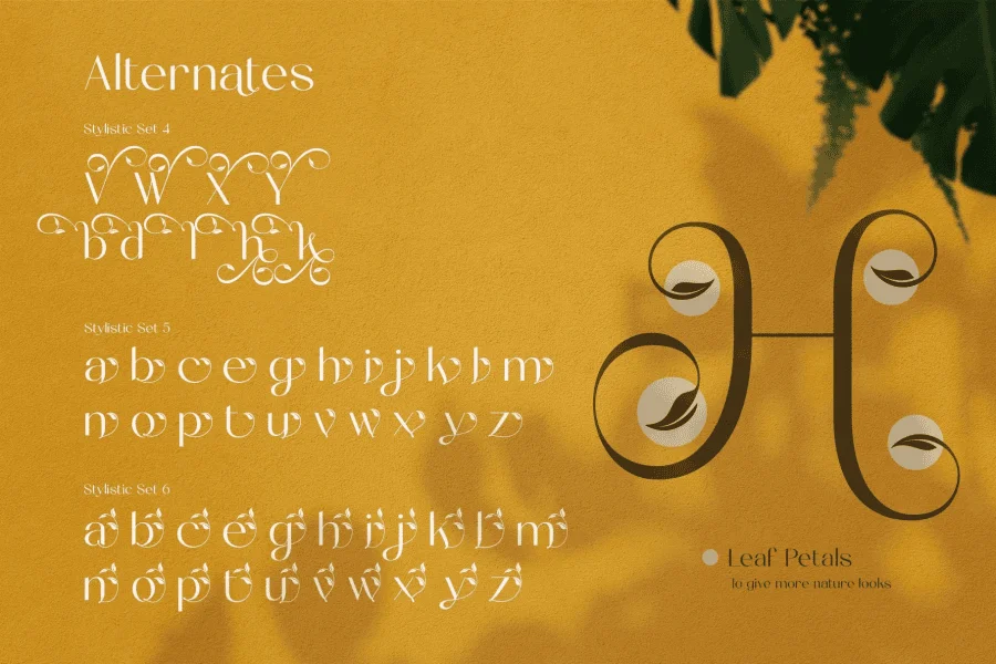 The munday free version Font preview 9