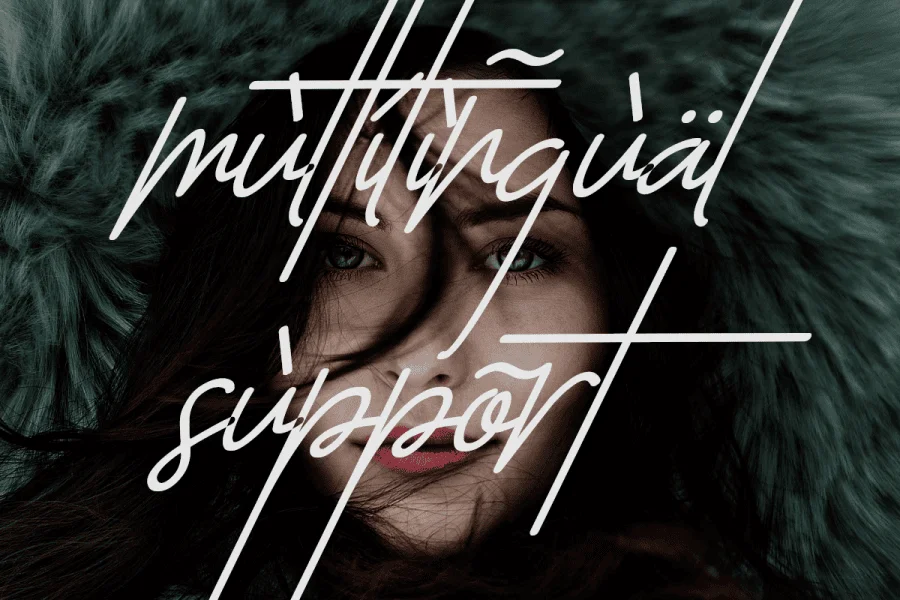The Sayinistic DEMO Font preview 5