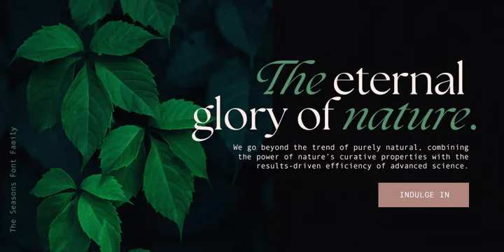 The Seasons Font preview 2