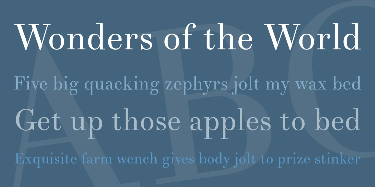 Theano Didot Font preview 2
