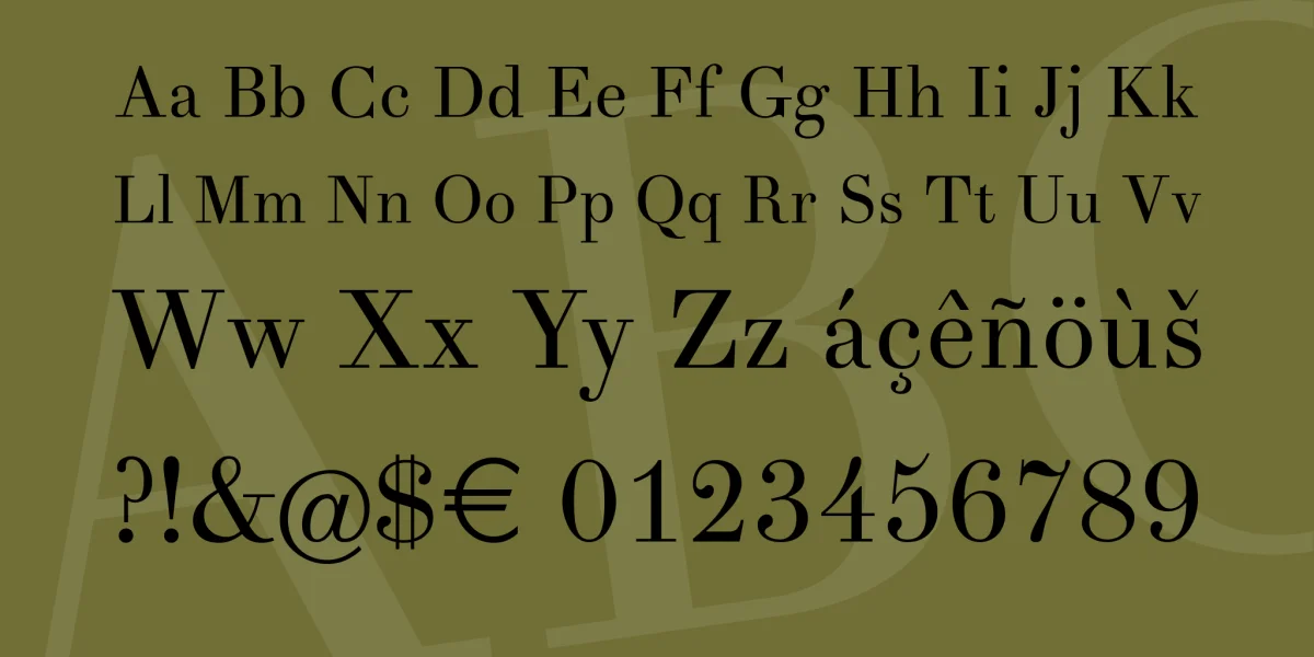 Theano Didot Font preview 4