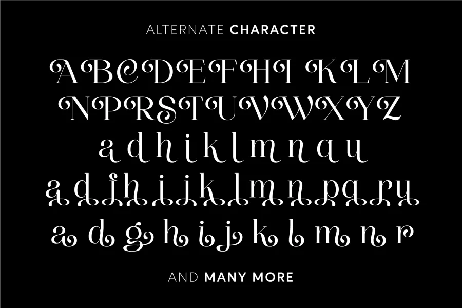 Thenie Dawson Font preview 11