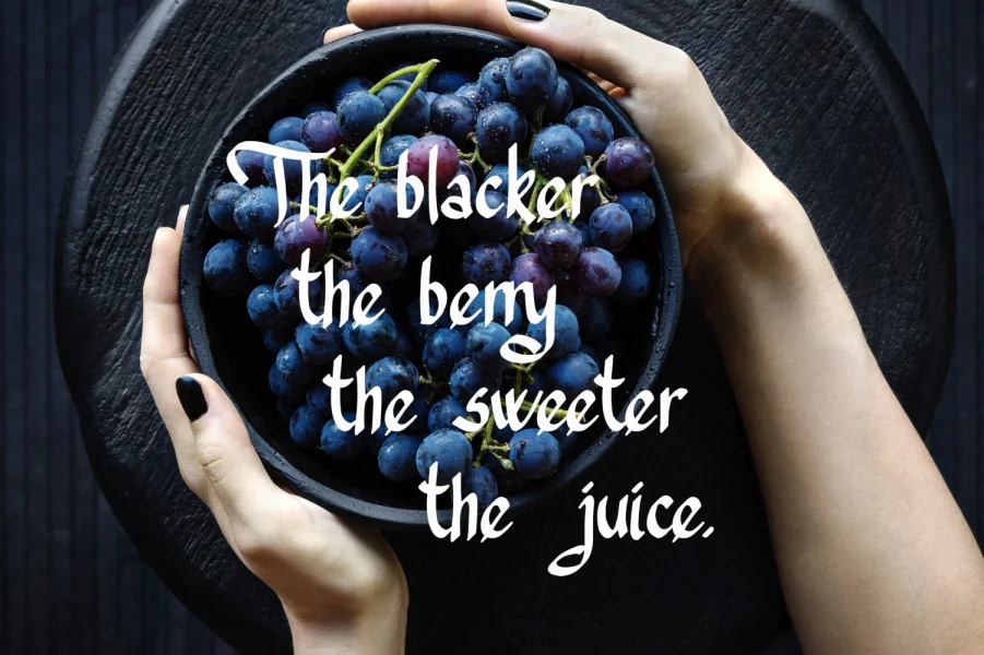 Trefay Font preview 2