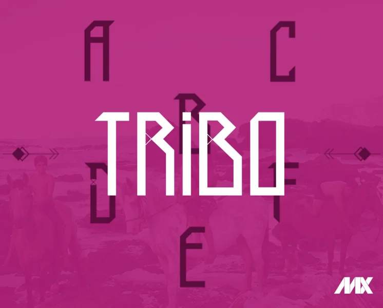 Tribo Font Family