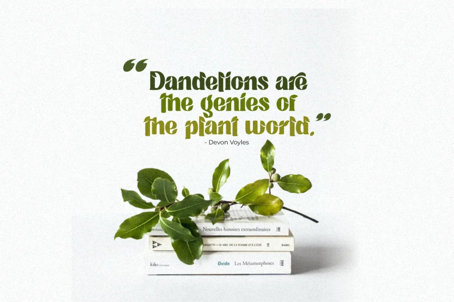 Tropical Taste Demo Font preview 2