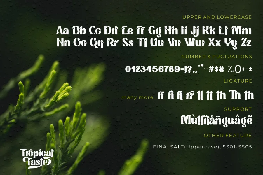 Tropical Taste Demo Font preview 3