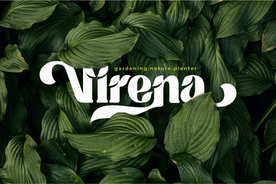 Tropical Taste Demo Font preview 6