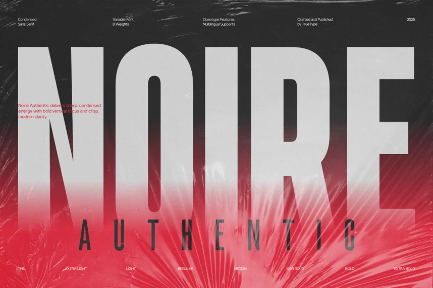 TRTNoire Authentic Font preview 2