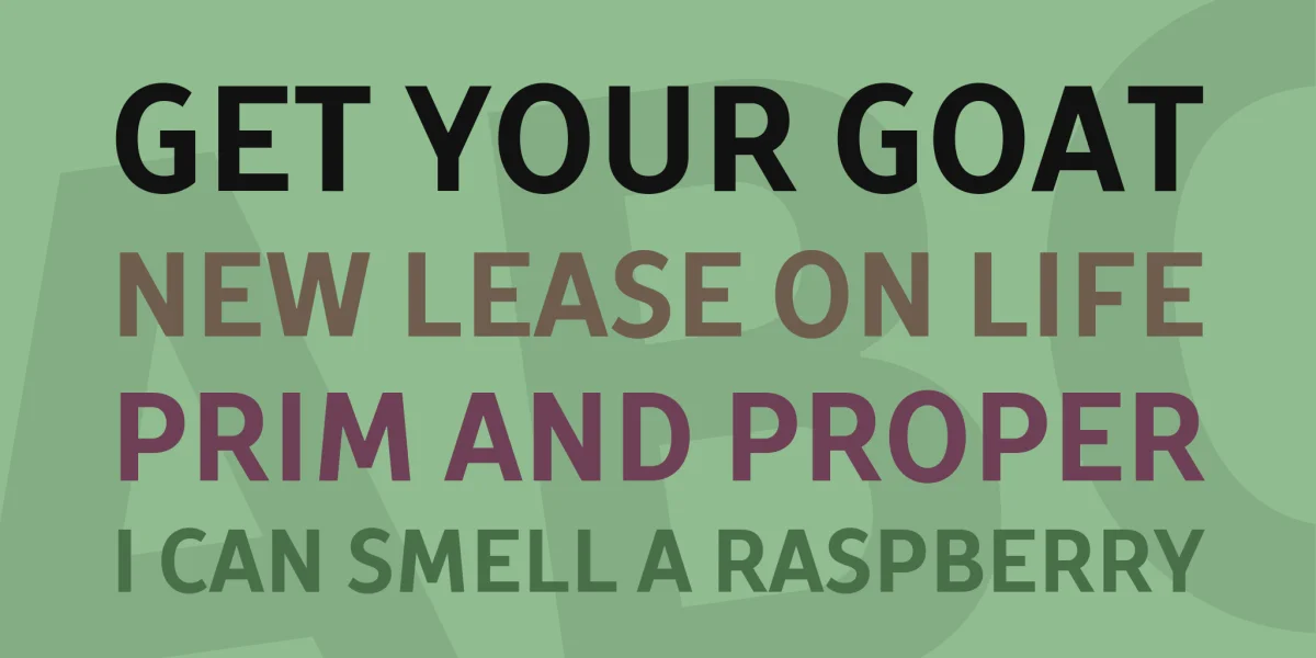 TT Prosto Sans Condensed DEMO Font preview 2