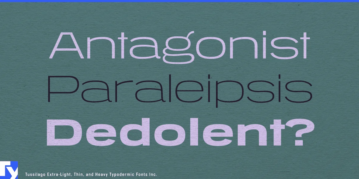 Tussilago Font Family preview 3