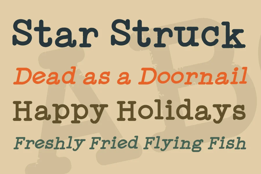 Typewriter Press Font Family preview 3