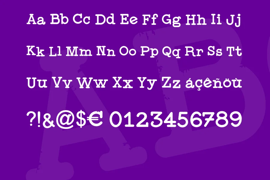 Typewriter Press Font Family preview 5
