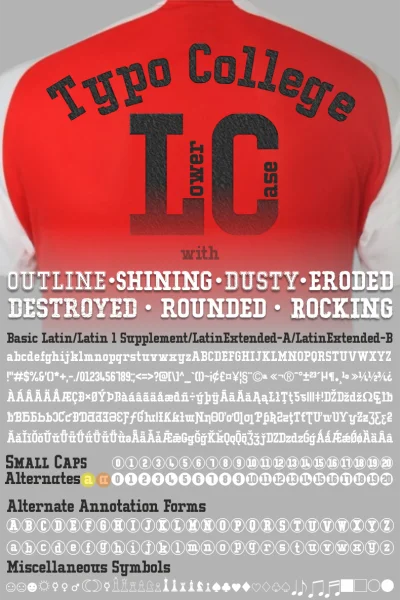 Typo College Font Family preview 12