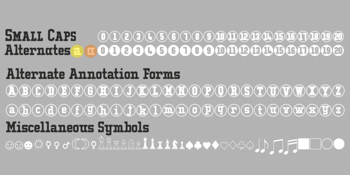 Typo College LC Demo Font preview 3