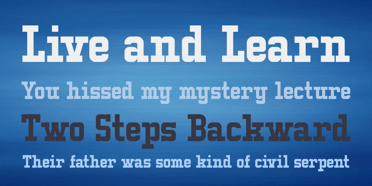 Typo College LC Demo Font preview 8