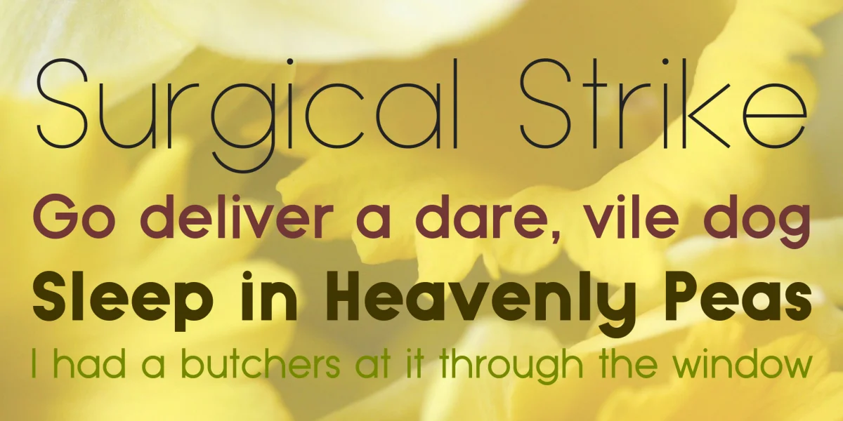 Typo Grotesk Font Family preview 2