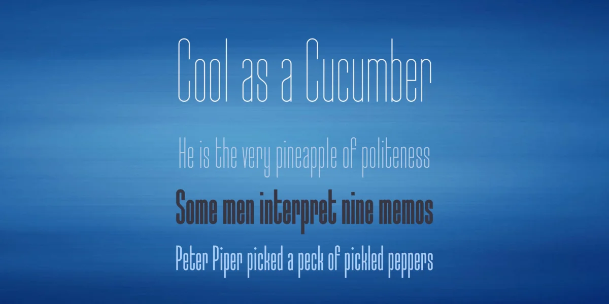 Typo-Longest Font Family preview 2