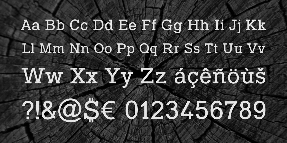 Typo Slab Font Family preview 4