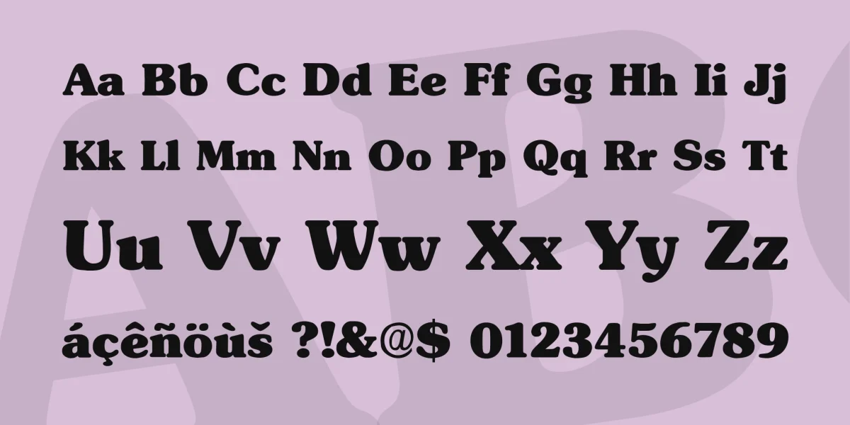 Typographer Subway Font Family preview 3
