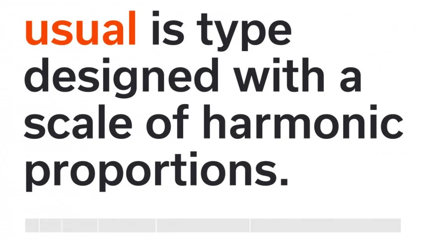 Usual Font