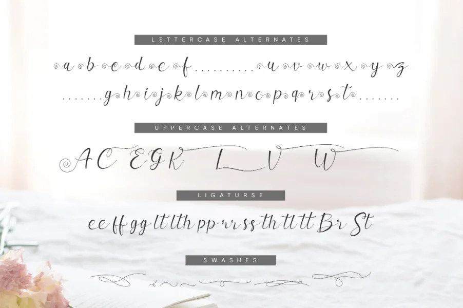 Valerissa Personal Use Font preview 8