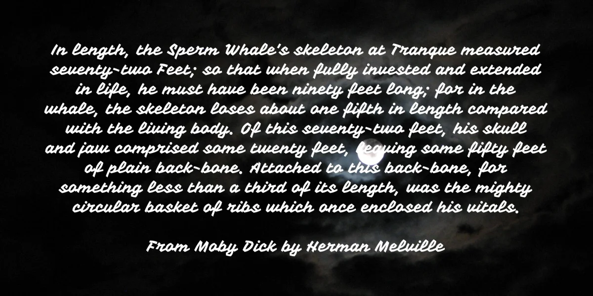 Vampiro One Font preview 3