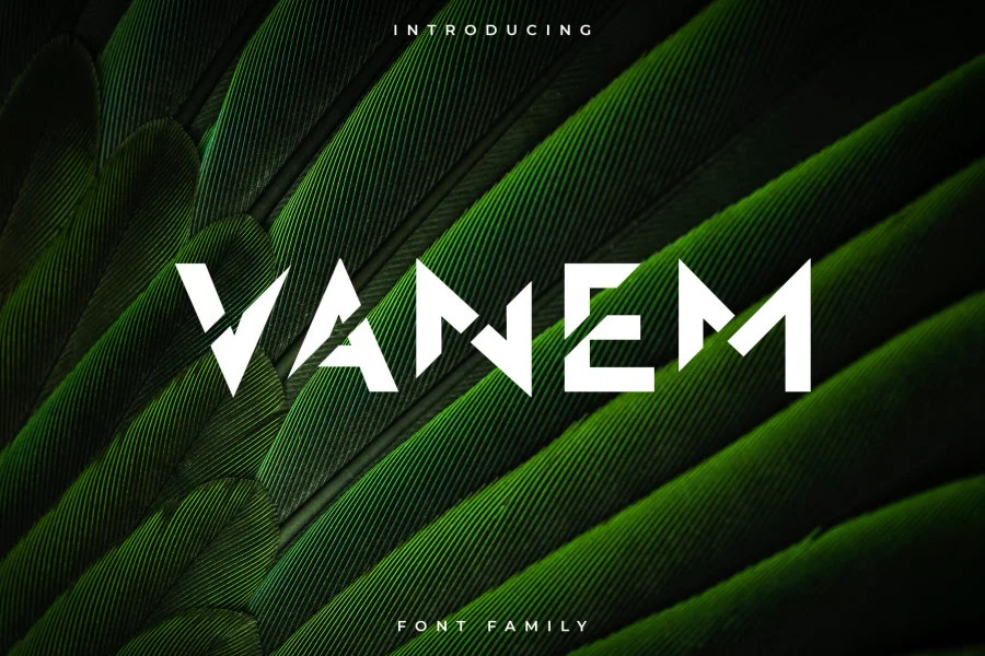 VanemNonCommercial Font