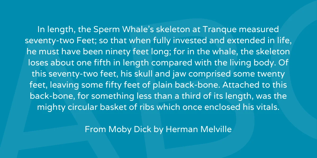 Varela Font preview 3