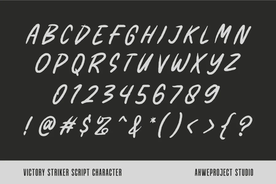 Victory Striker Sans Demo Font preview 12