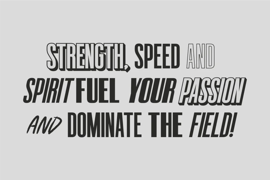 Victory Striker Sans Demo Font preview 6