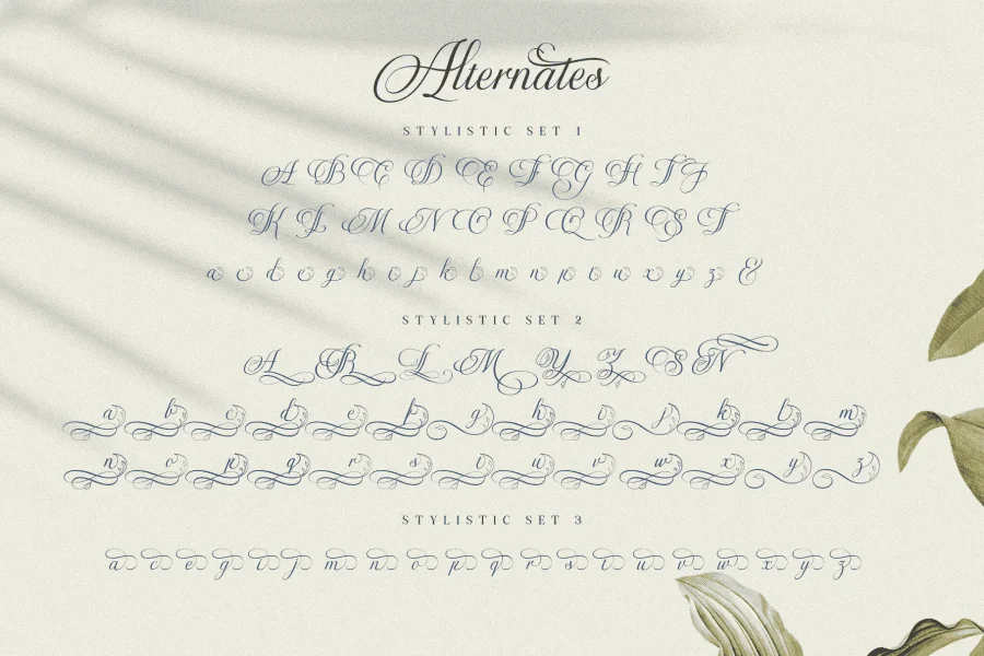 Virnature Font preview 7