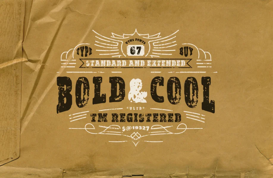 vtks Bold&Cool Font