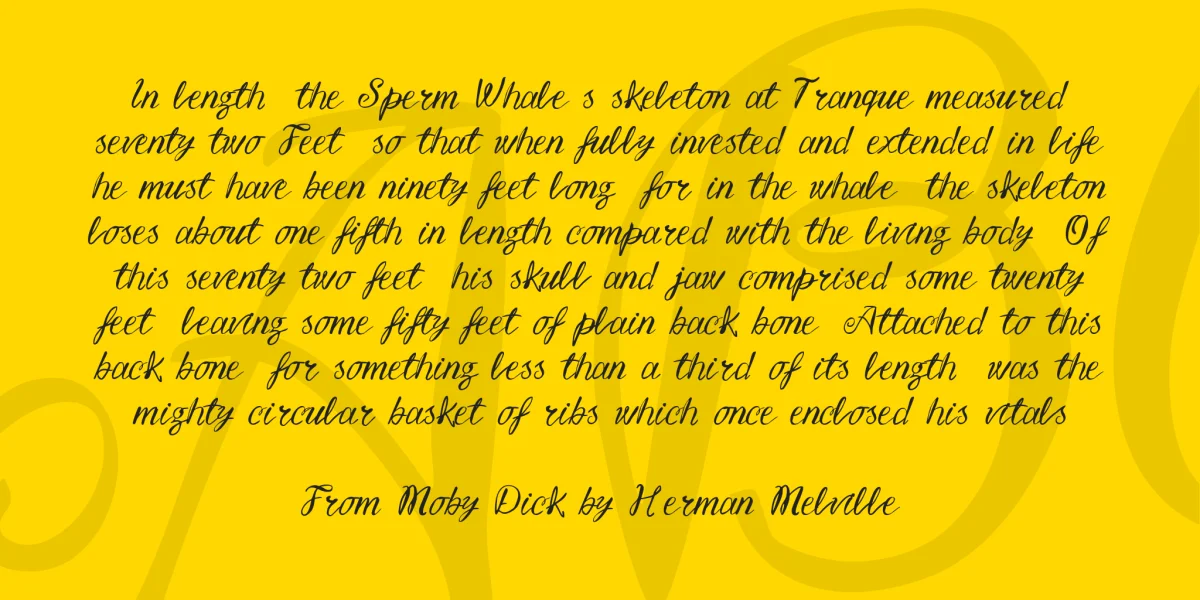 Vtks Lettering Font preview 3