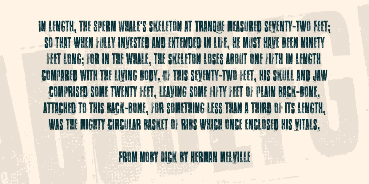 Walk this way Font preview 6