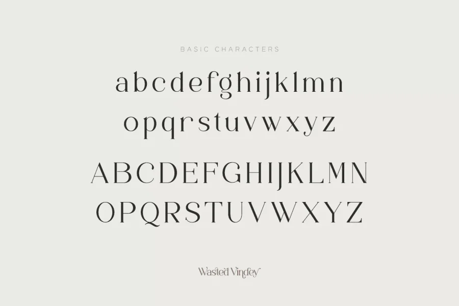 Wasted Vindey Font preview 11