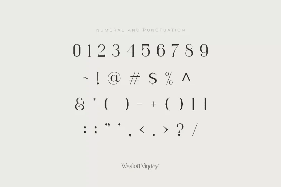 Wasted Vindey Font preview 12