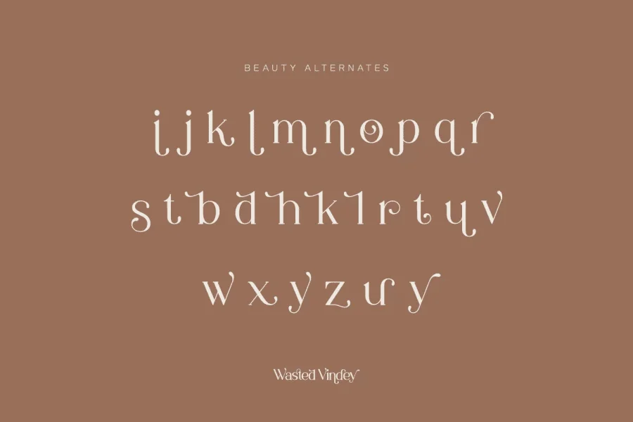 Wasted Vindey Font preview 13