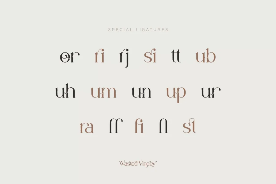 Wasted Vindey Font preview 14