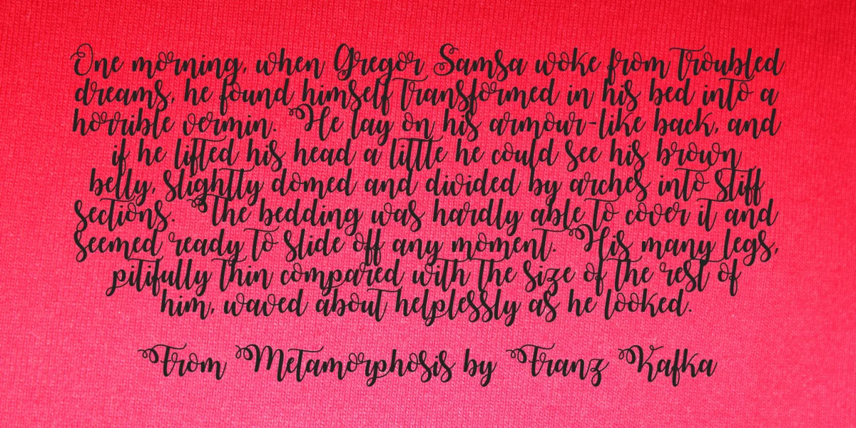 Watermelon Script Demo Font preview 2