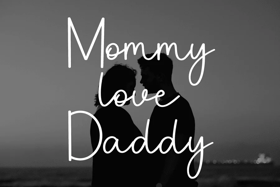 Wedding Cattering Font preview 5