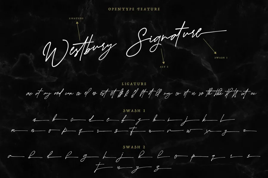 Westbury Signature Demo Version Font preview 4