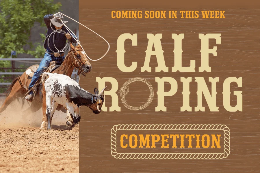 Western Groove Font preview 5
