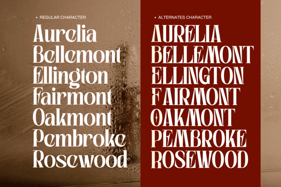 Westford Modern Demo Font preview 7