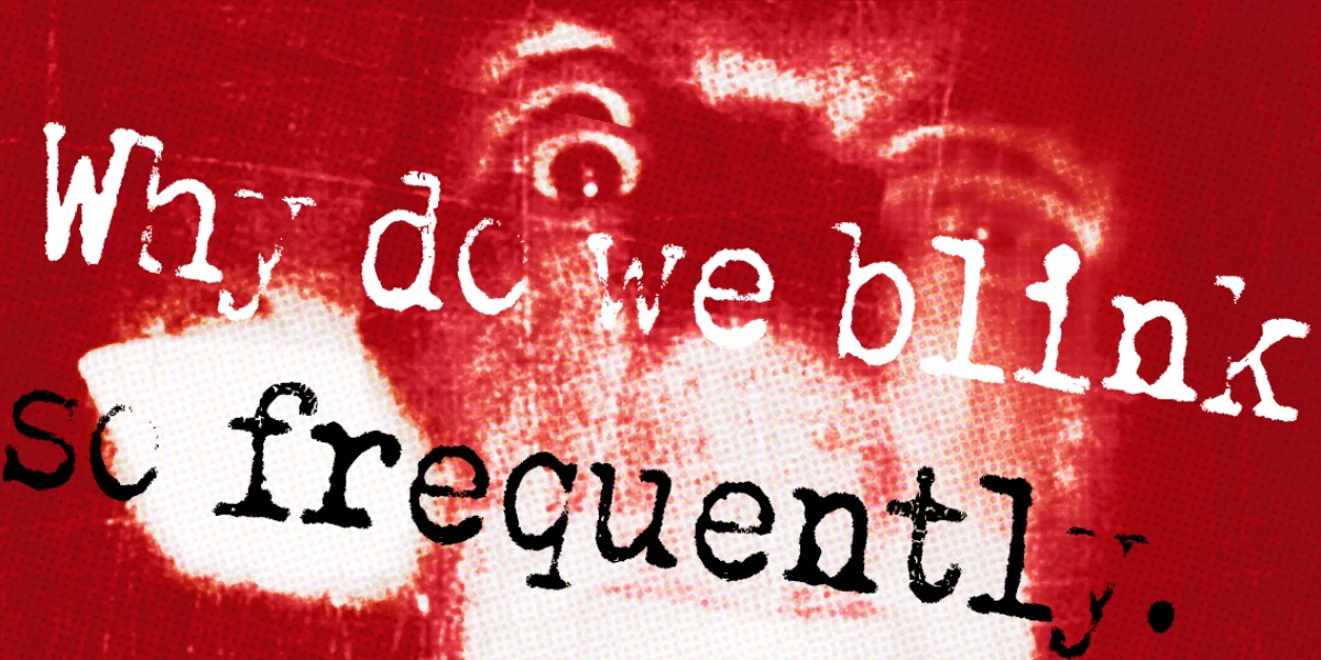 Why do we blink so frequently? Font Family