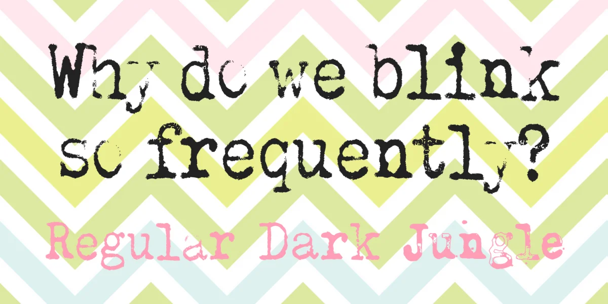Why do we blink so frequently? Font Family preview 8