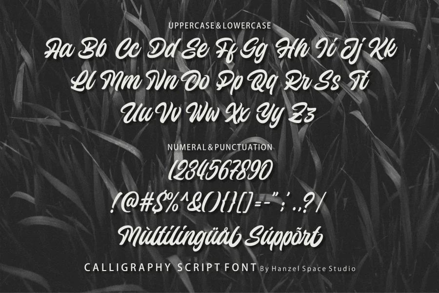 Wilzten Font preview 7