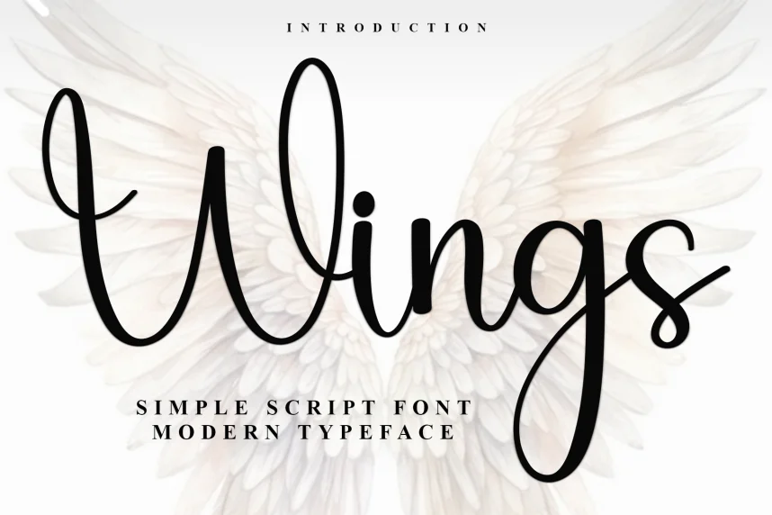 Wings Style Script Font