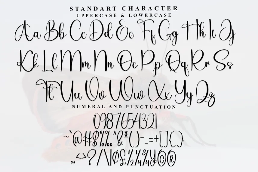 Wings Style Script Font preview 6