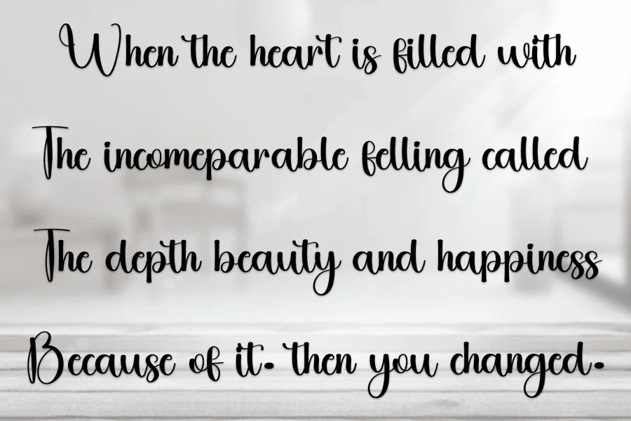 Winter Butterfly Font preview 7