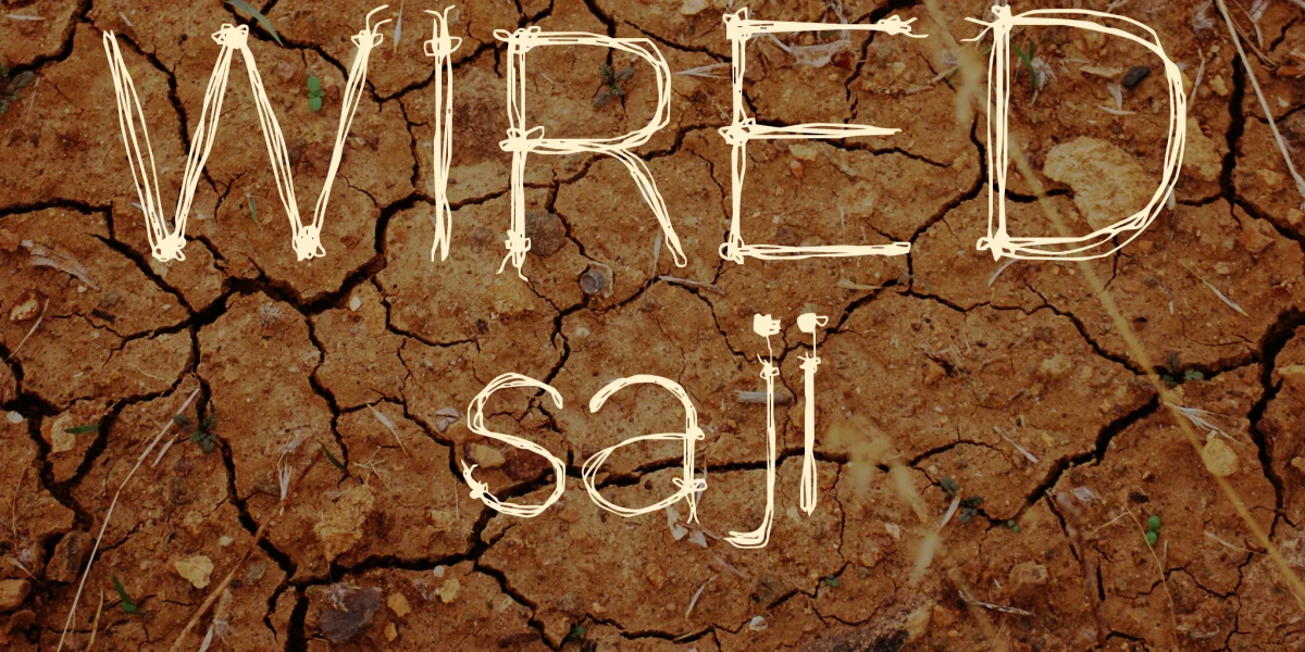 WIRED saji Font